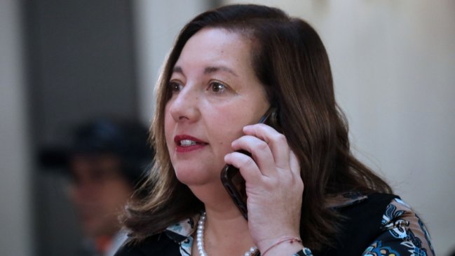 Vodanovic: Tendré que apoyar a Hassler en Santiago y espero que el PC apoye nuestros candidatos