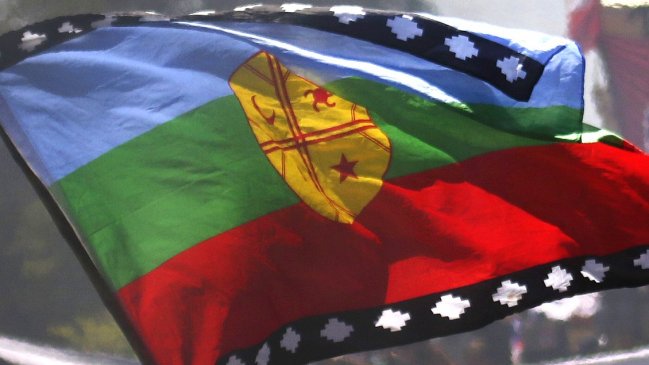 Hortaliceros mapuche presentan recurso de protección contra alcalde de Temuco