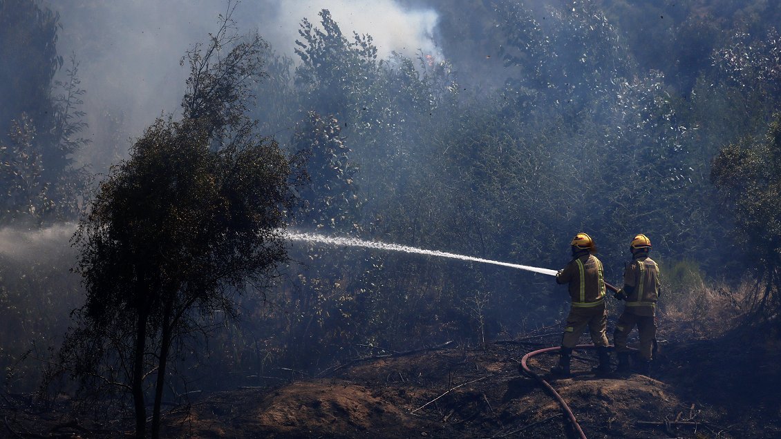 Delegada conoció alcance del megaincendio de Valparaíso de forma tardía