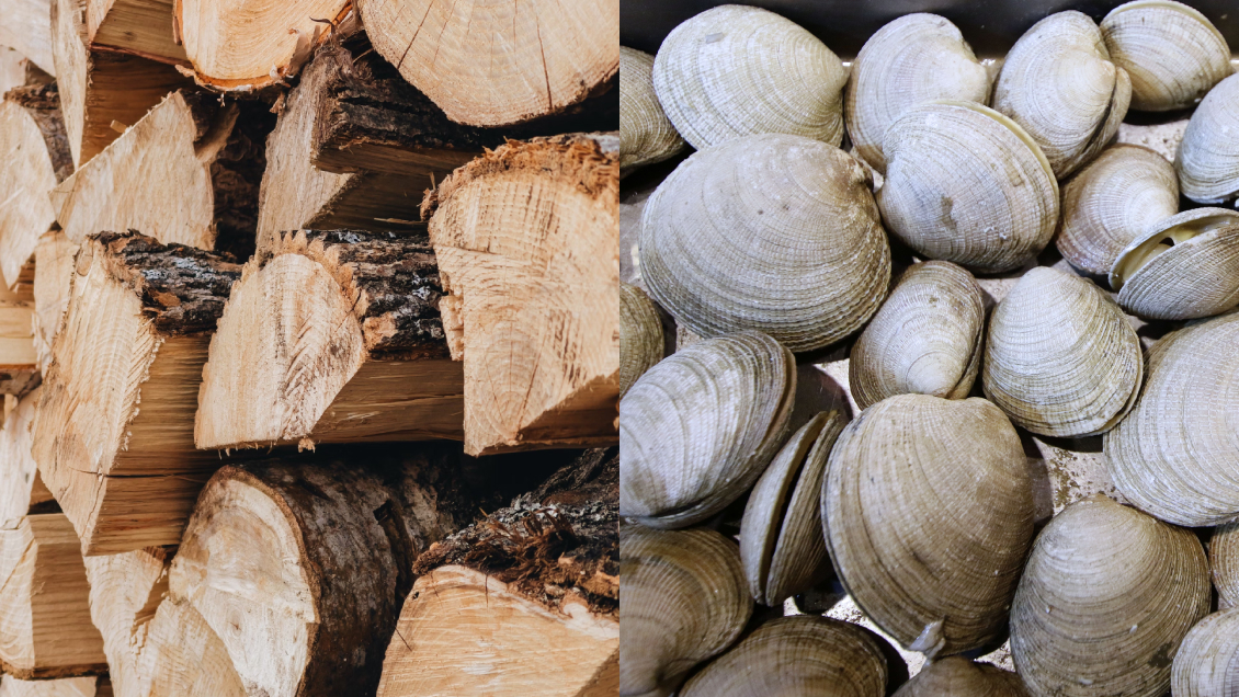 Bloqueo al puerto de Coronel cumple 50 días: Industrias denuncian pérdidas 