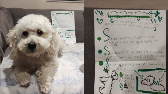 Tierna niña dejó a su perrito en una guardería y llevó detalladas instrucciones