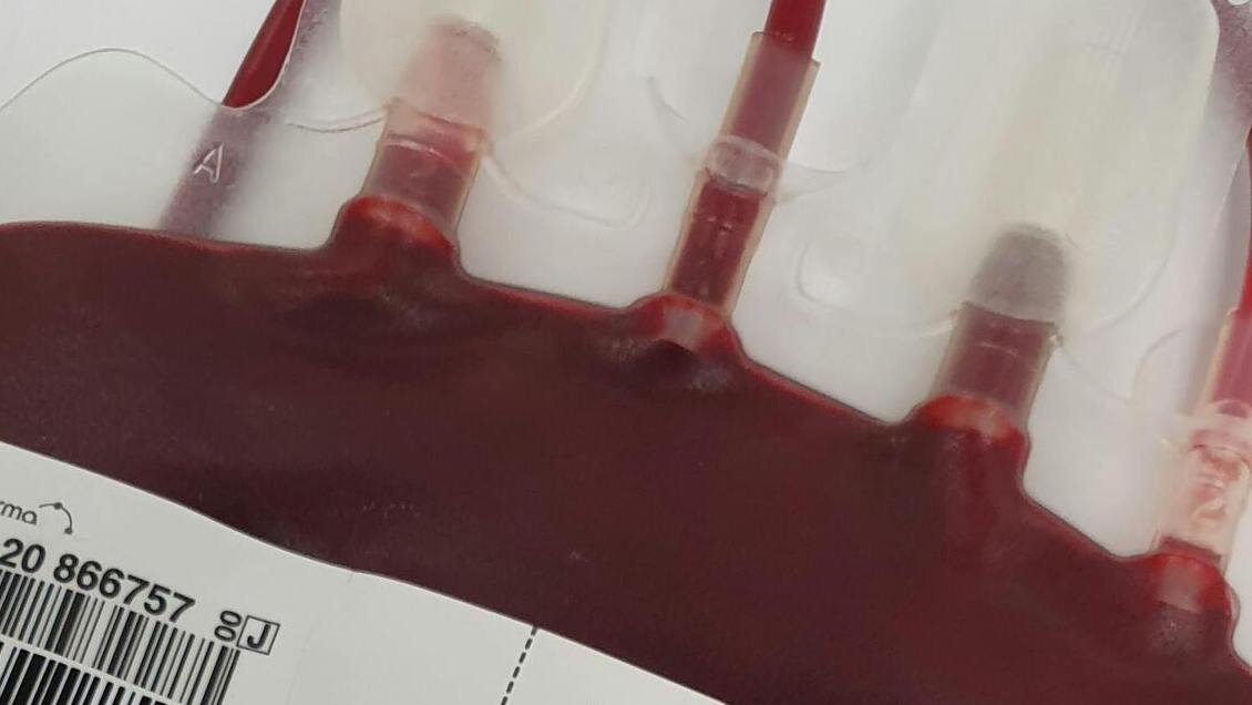 Informe reveló que Londres encubrió un escándalo de sangre contaminada