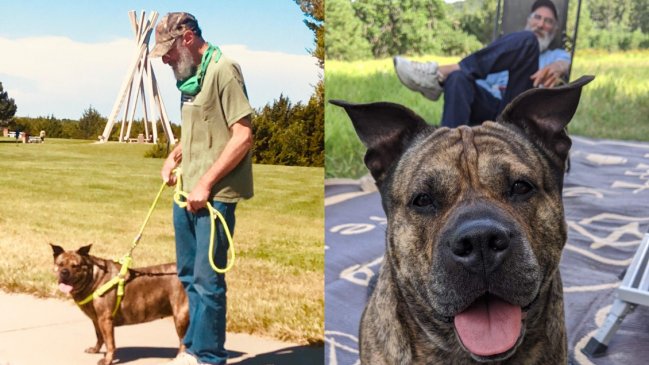 Hombre busca nuevo hogar para su perrita antes de morir por cáncer terminal
