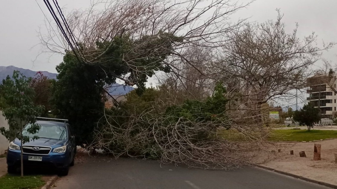 Experto: La normativa es laxa y permite cortes de luz prolongados en ciertas comunas