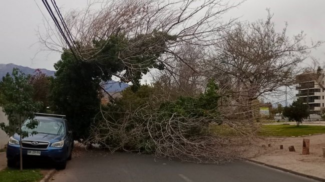 Experto: La normativa es laxa y permite cortes de luz prolongados en ciertas comunas