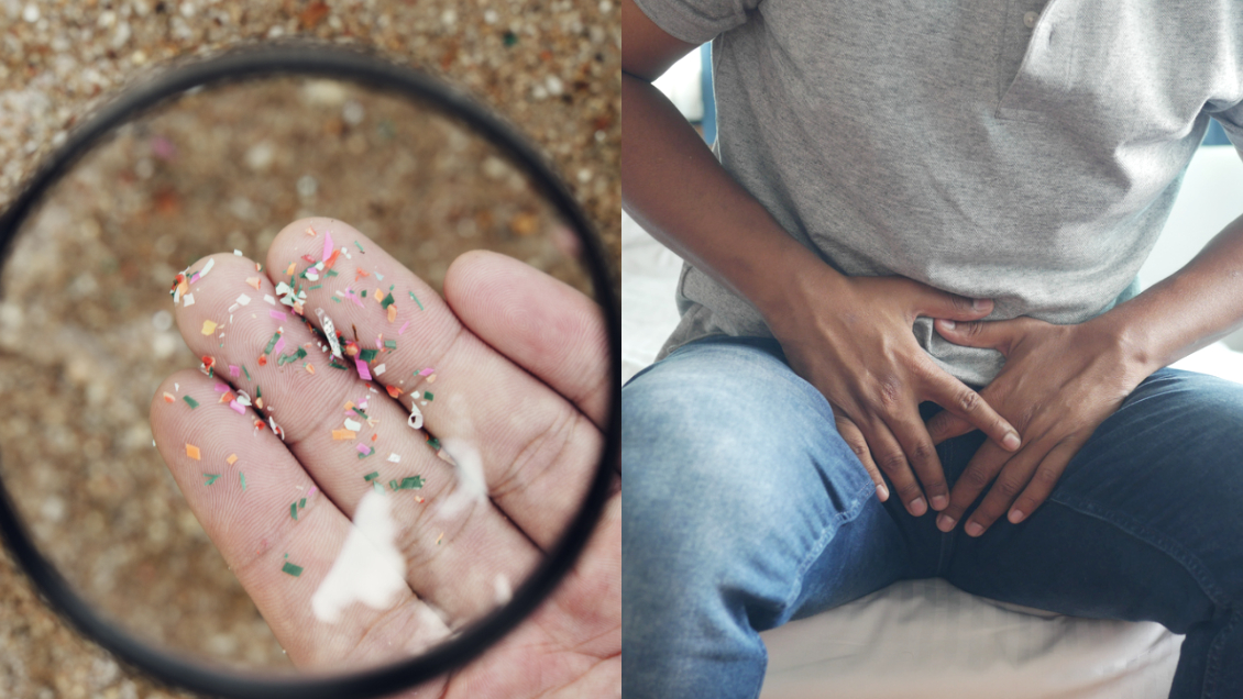 Detectan niveles significativos de microplásticos en testículos de humanos y perros