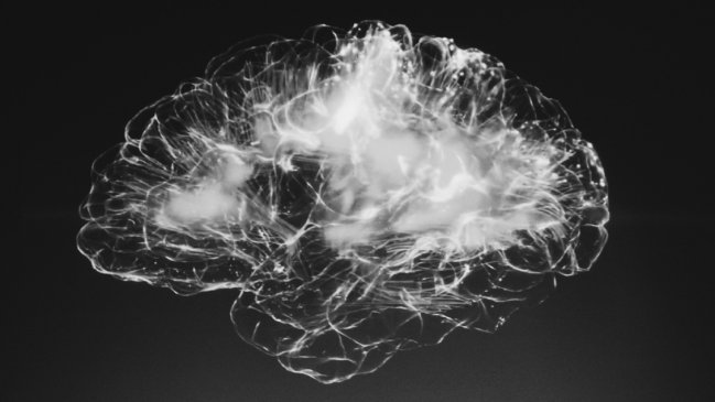   Científicos chinos reviven un cerebro humano que llevaba 18 meses congelado 