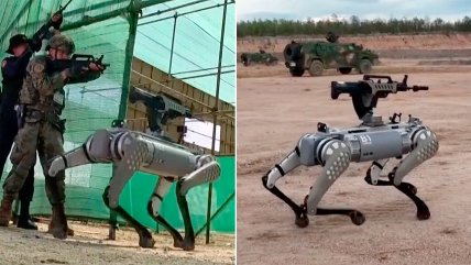   China presentó perrobots-metralletas 
