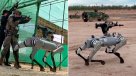 China presentó perrobots-metralletas