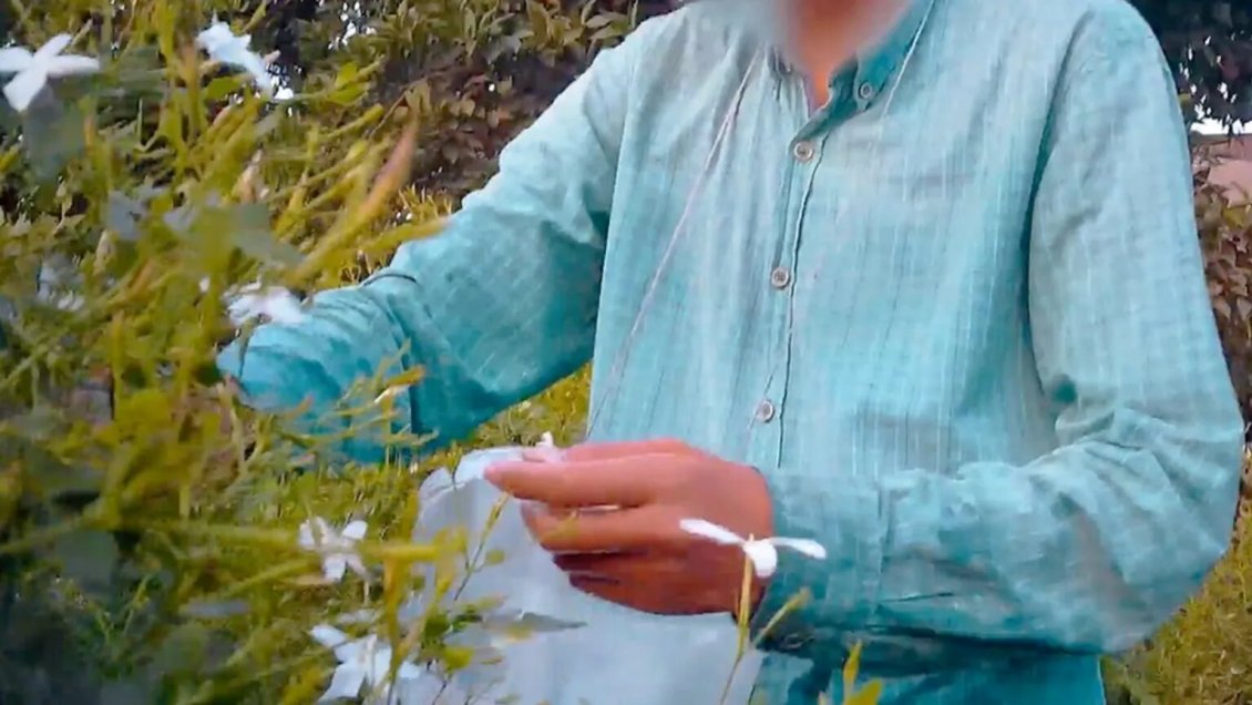 BBC advierte vínculo entre algunos perfumes de lujo y trabajo infantil