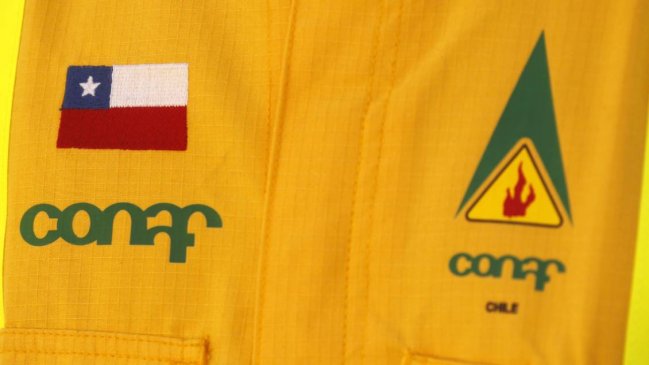 Conaf confirmó robo en brigada de Valparaíso, pero descartó pérdida de información