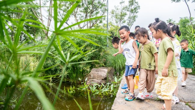China destaca sus avances en restauración ecológica