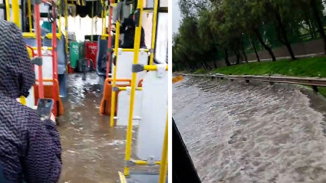 [Video] Bus de sistema Red 
