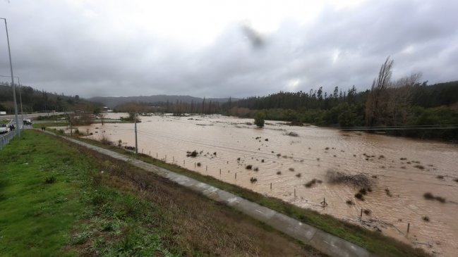 Un millar de agricultores afectados en el Biobío