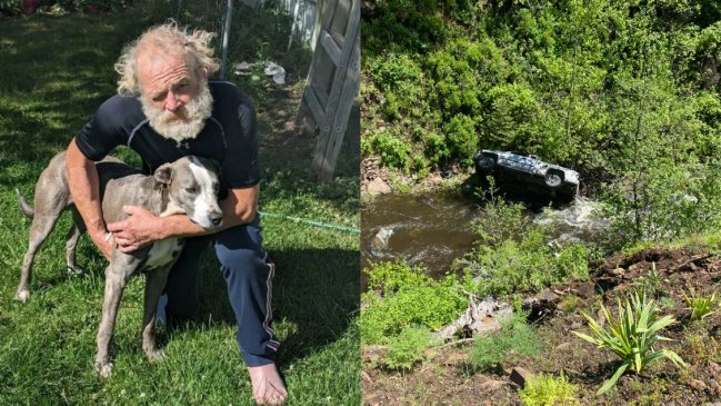 Perrito recorrió más de seis kilómetros para alertar accidente de su dueño