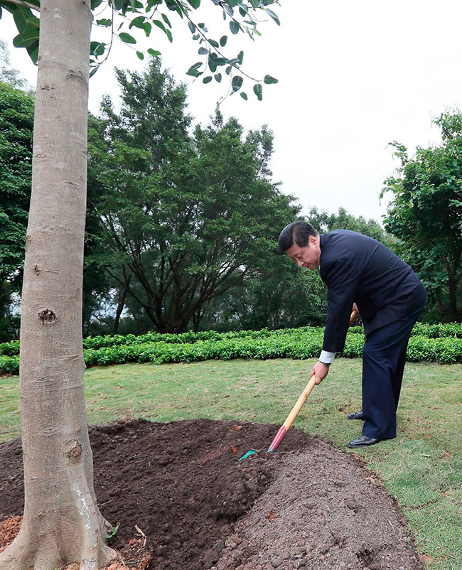 Imagen foto_00000002