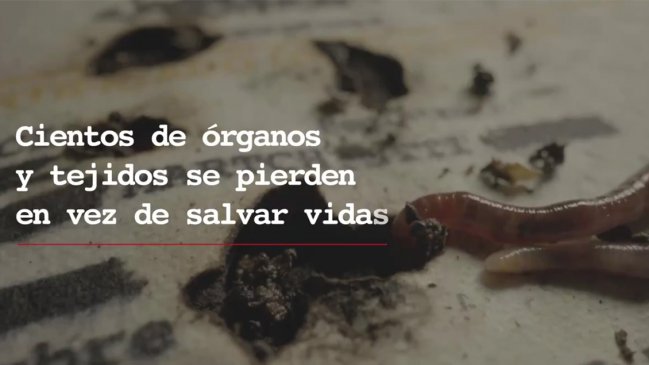 Sociedad de Trasplante sugiere promover donación de órganos con más 