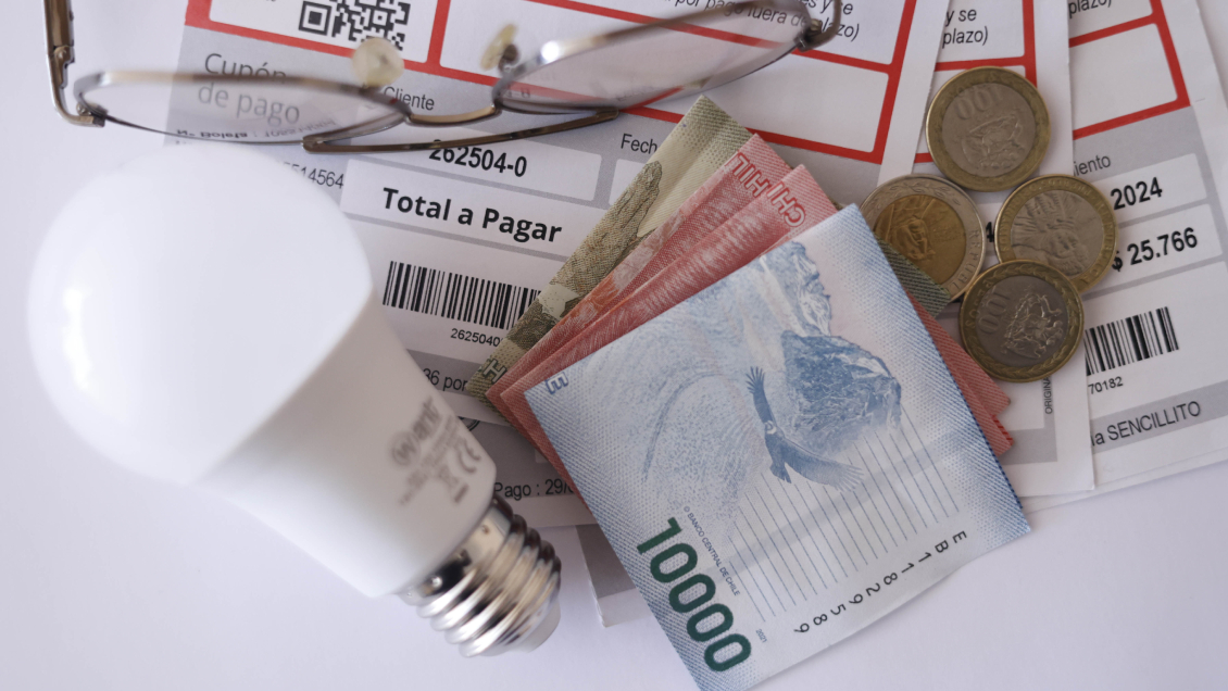 De Gregorio por cuentas de la luz: No es llegar y subsidiar todo lo que sube de precio