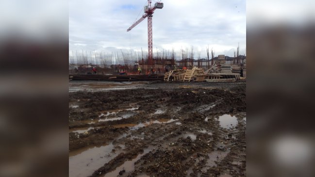 Inmobiliaria arriesga multa de 4.000 millones por construir sin permiso sobre un humedal