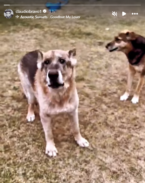 Imagen foto_00000001