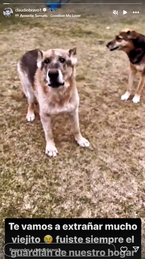 Imagen foto_00000002