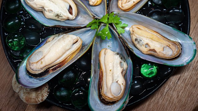 Recomiendan comer más chorito: En Chile solo consumimos un 5% de lo que producimos