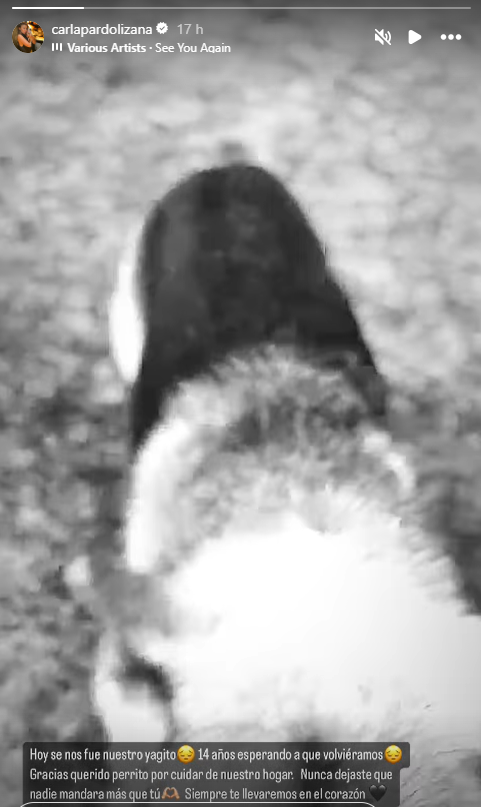 Imagen foto_00000004