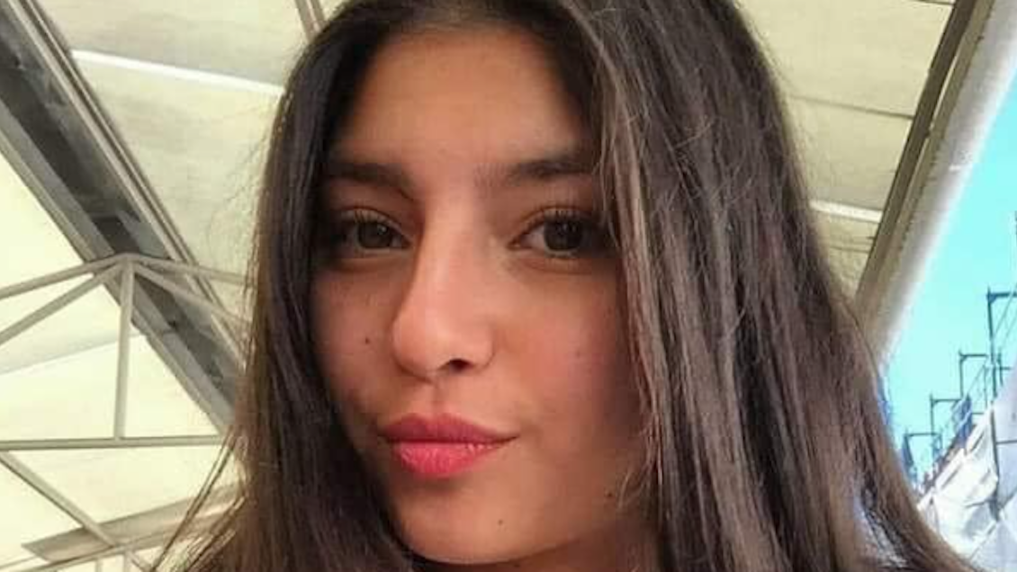 Fiscalía pide presidio menor de imputados por fatal ataque de tigre en zoológico de Rancagua