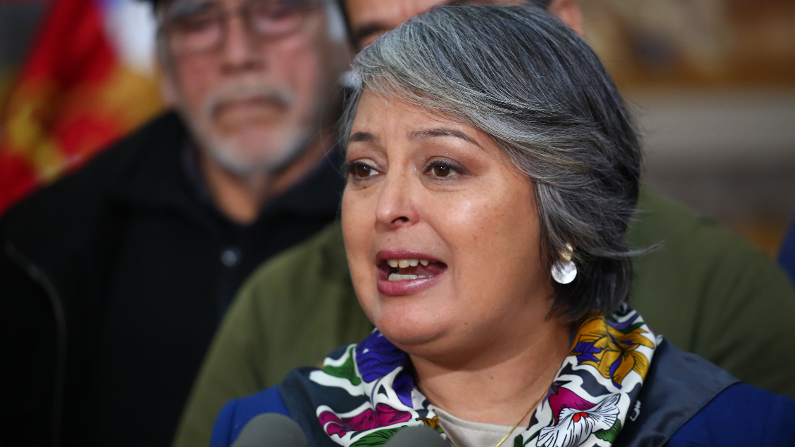 Ministra Jara pide apurar reforma previsional en el Senado: 