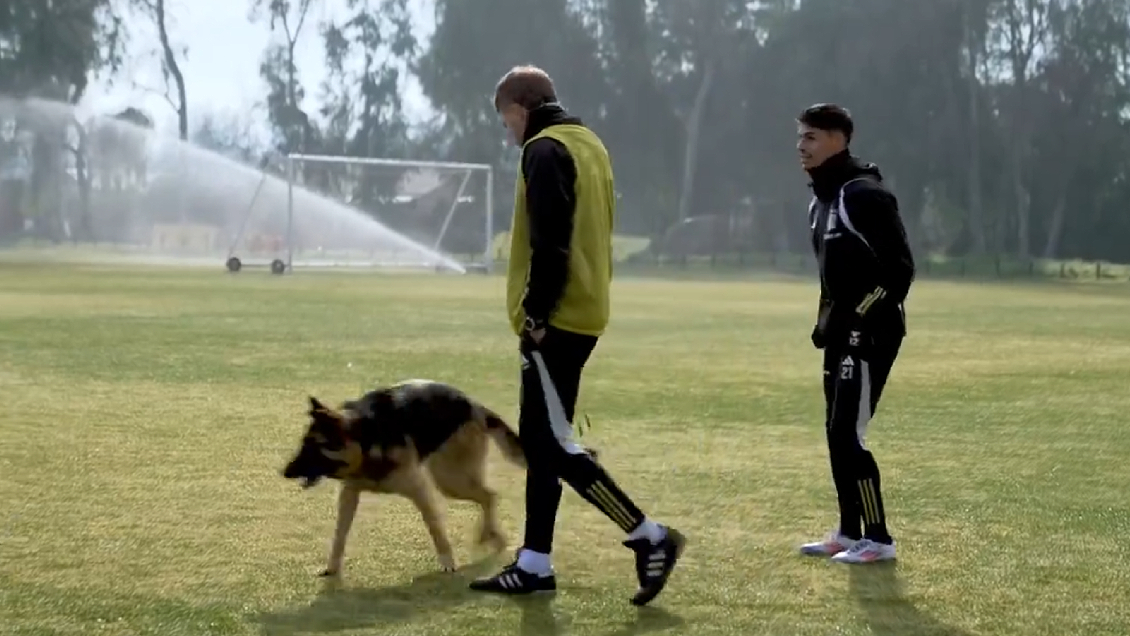 [VIDEO] Colo Colo entrenó en las instalaciones del Sifup y compartió con entusiasta perro