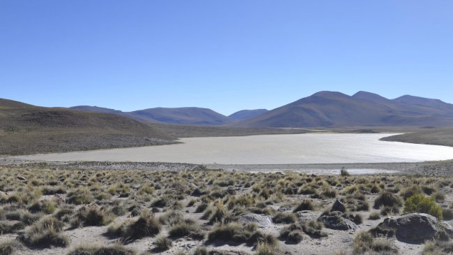 CDE demandó a minera Quiborax por causar daños 