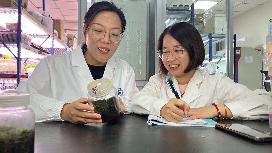 Científicos chinos identifican un musgo desértico que podría sobrevivir en Marte