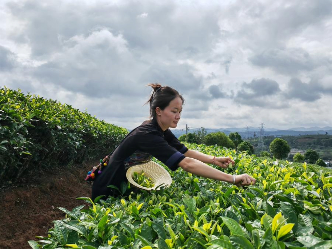 Imagen foto_00000001