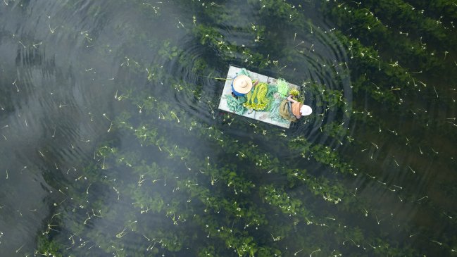 Yunnan, el sabor del desarrollo de alta calidad de China