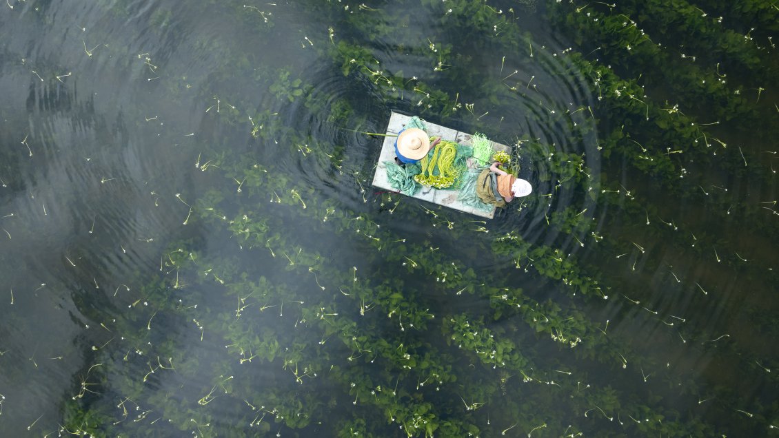 Yunnan, el sabor del desarrollo de alta calidad de China