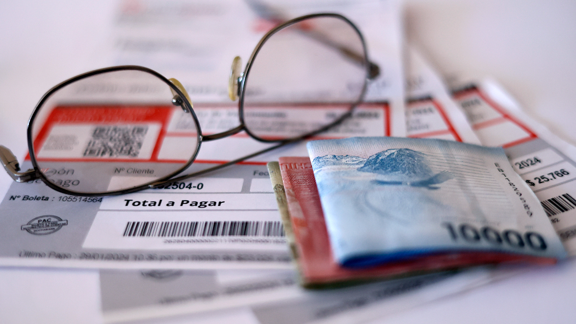 Oficialismo pide que beneficiarios de la PGU reciban el subsidio eléctrico