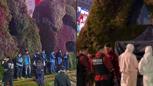 Copa América: Hincha murió tras caer desde un cartel en Buenos Aires