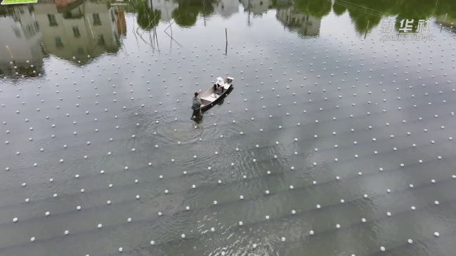 El centro de distribución de perlas de agua dulce más grande del mundo