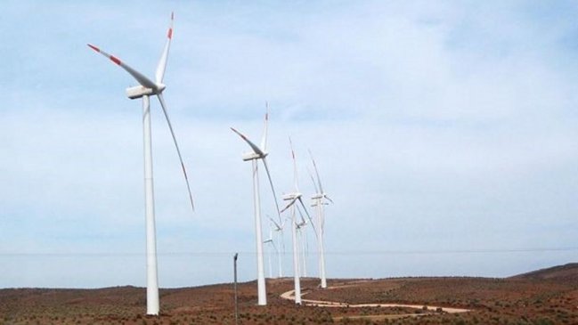 SMA exige medidas a parque eólico ante colisiones de cóndores con torres