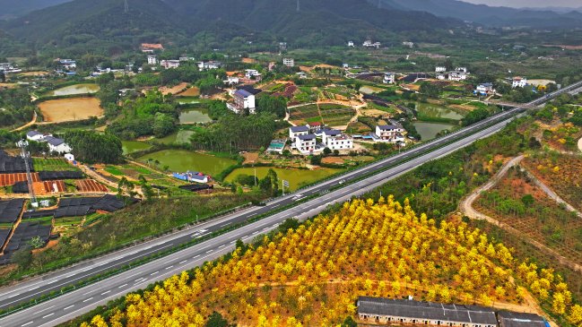 China registra mejora en calidad del aire y el agua en primer semestre del año