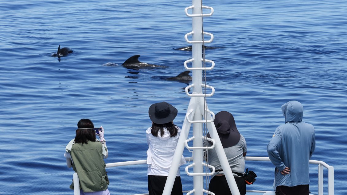 Chilenos pueden conocer sin visa la hermosa isla china de Hainan