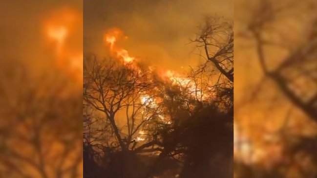 Alerta roja por incendio forestal en la comuna de Río Hurtado