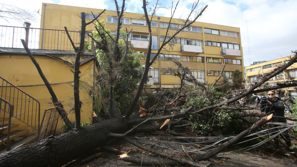 Eduardo Sáez destaca que sistema frontal es 