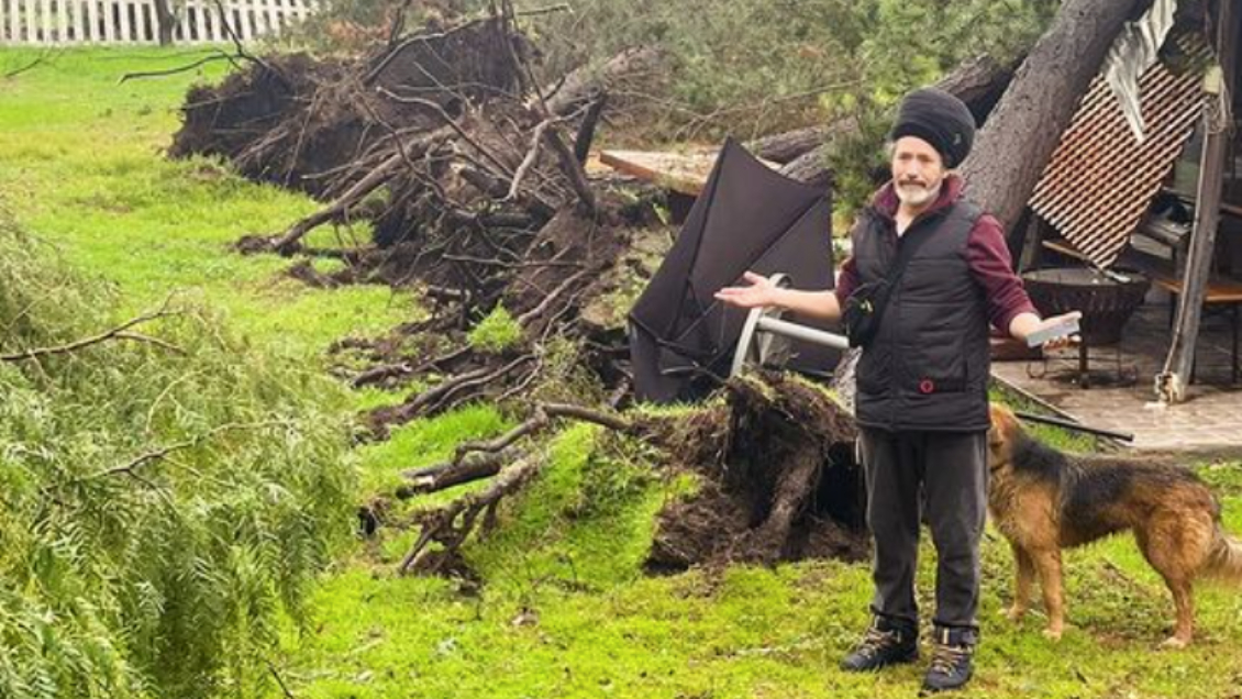 Árbol cae sobre la casa de Quique Neira en Batuco: 