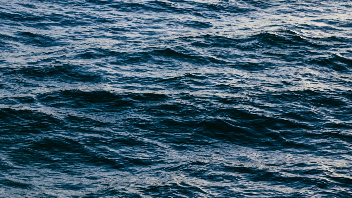 Senapred y alerta japonesa: 