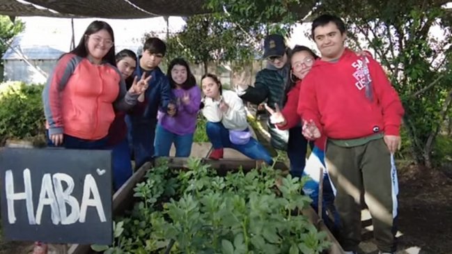 Regiones del Maule y Biobío lideraron adjudicación de fondos para inclusión laboral