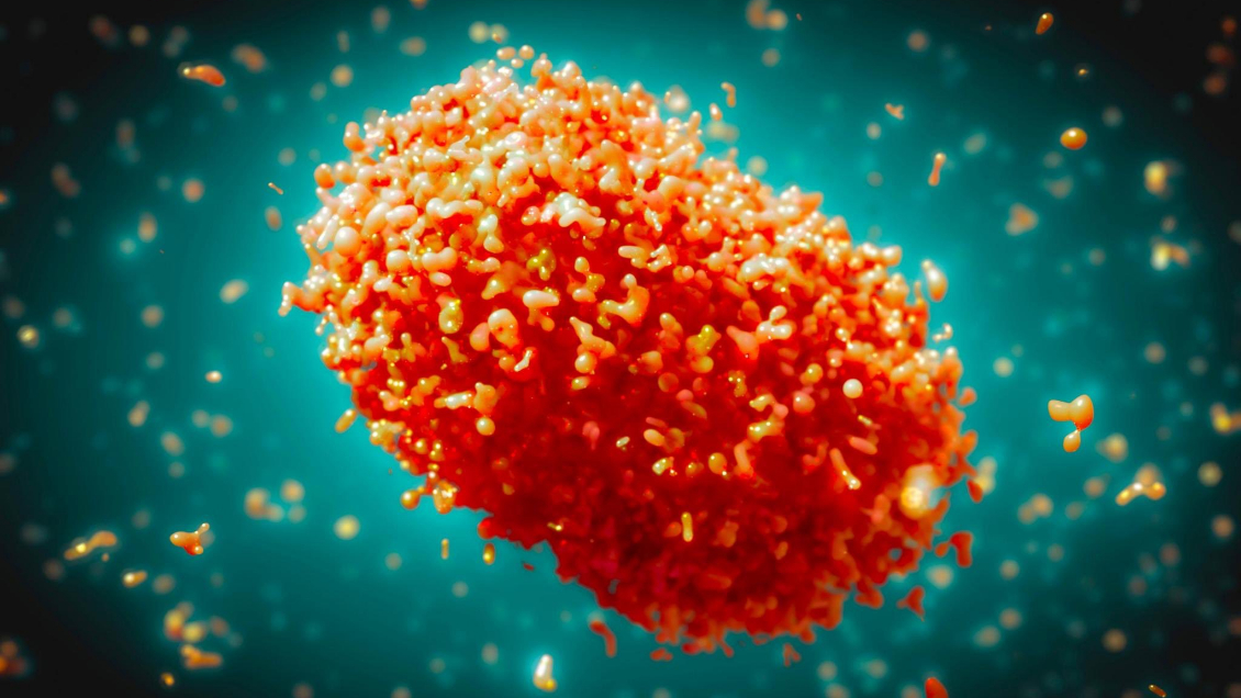 OMS declaró nuevamente el mpox como una emergencia de salud pública internacional