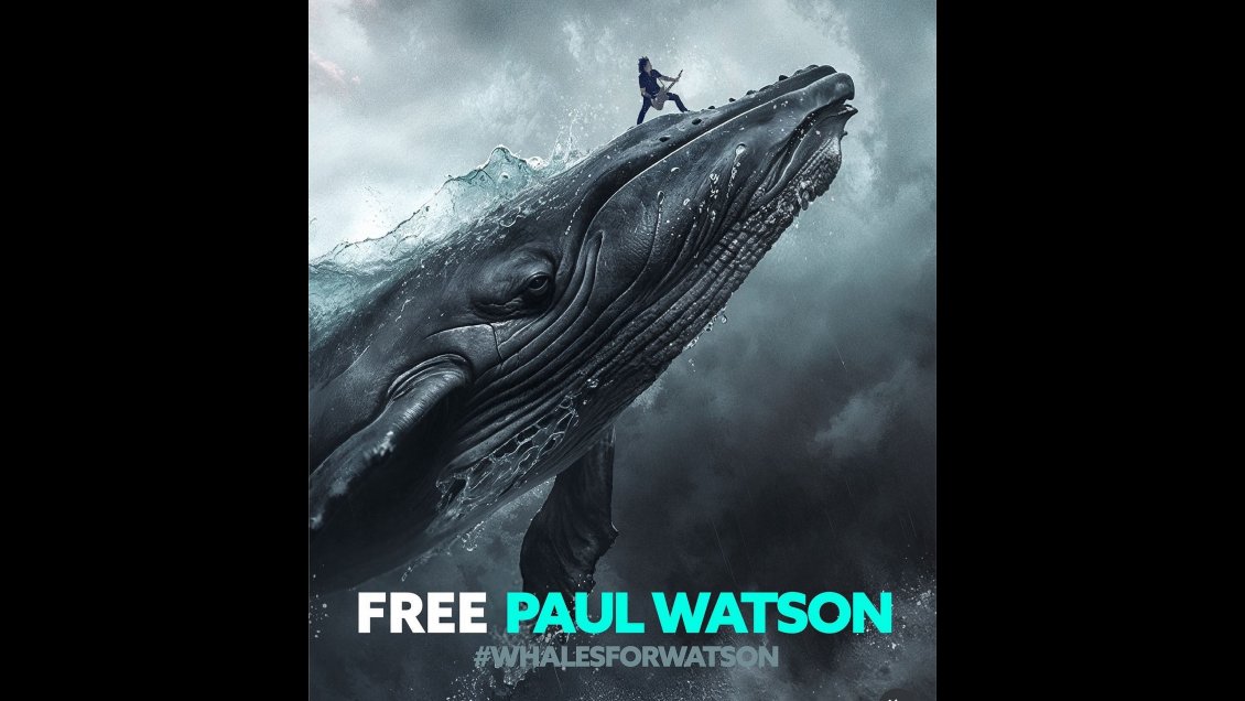 Gojira, de París 2024 a pedir la libertad del exlíder de Sea Shepherd