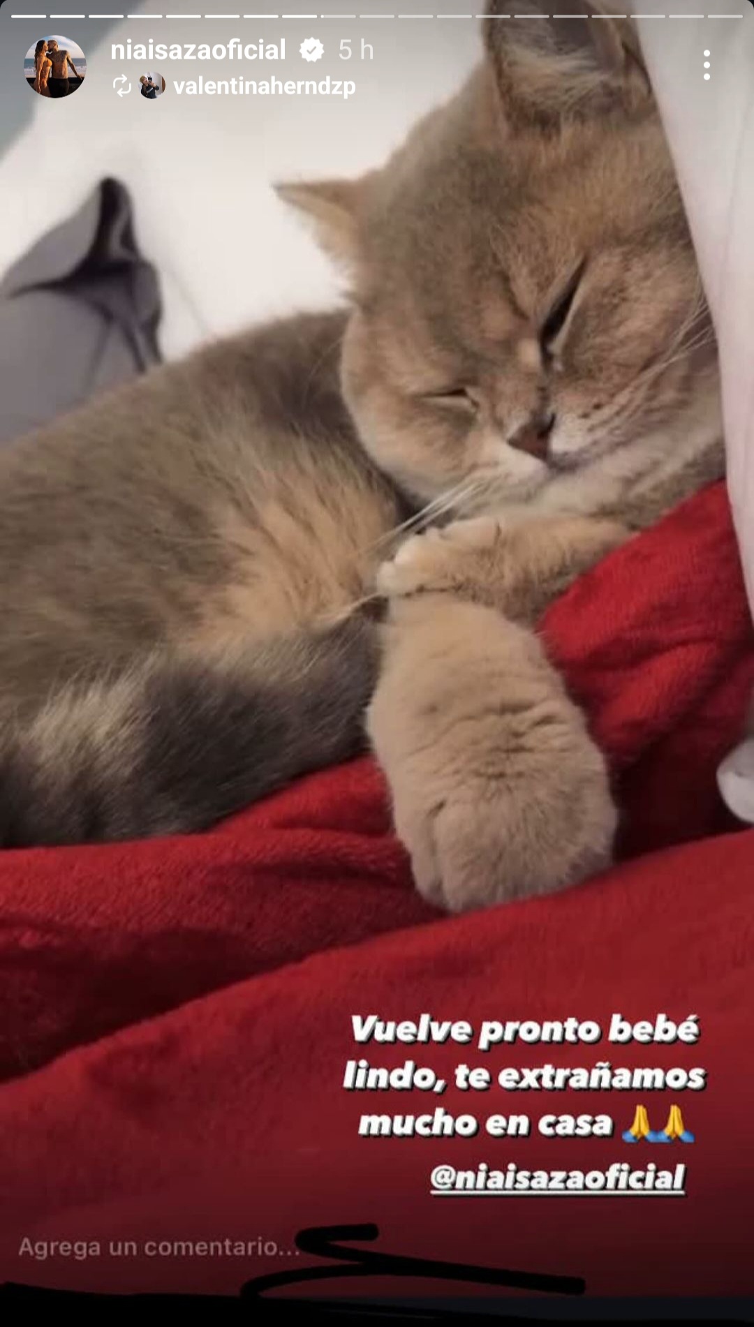 Imagen foto_00000002