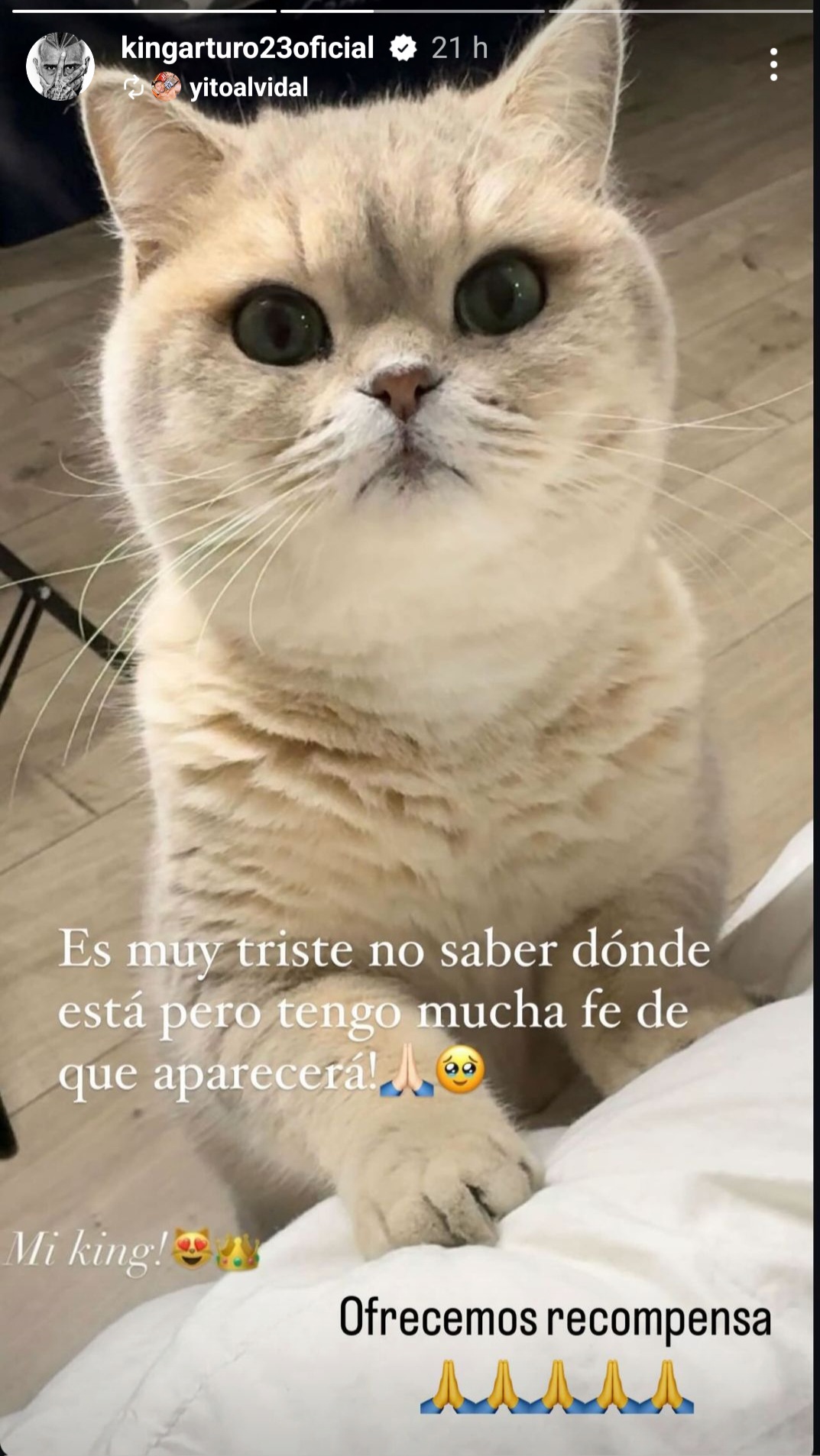 Imagen foto_00000003